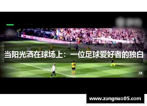 当阳光洒在球场上：一位足球爱好者的独白